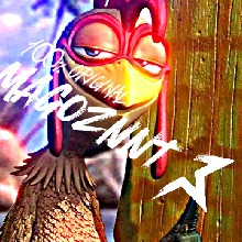 Guest_magozznt157