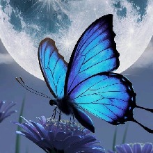 Guest_Paola202945