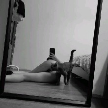 Guest_harlequinununquaa083