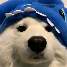 FrancisUchiha