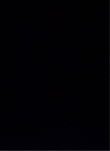 Guest_Iosif1