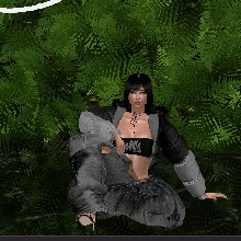 Guest_Estresse3