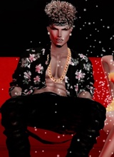 Guest_Mjcster01