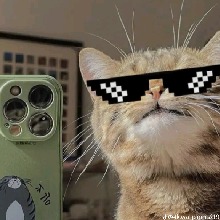 Guest_WettyGah