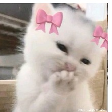 Guest_WettyGah