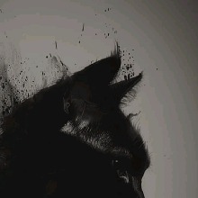 Guest_LorenzoValentino1