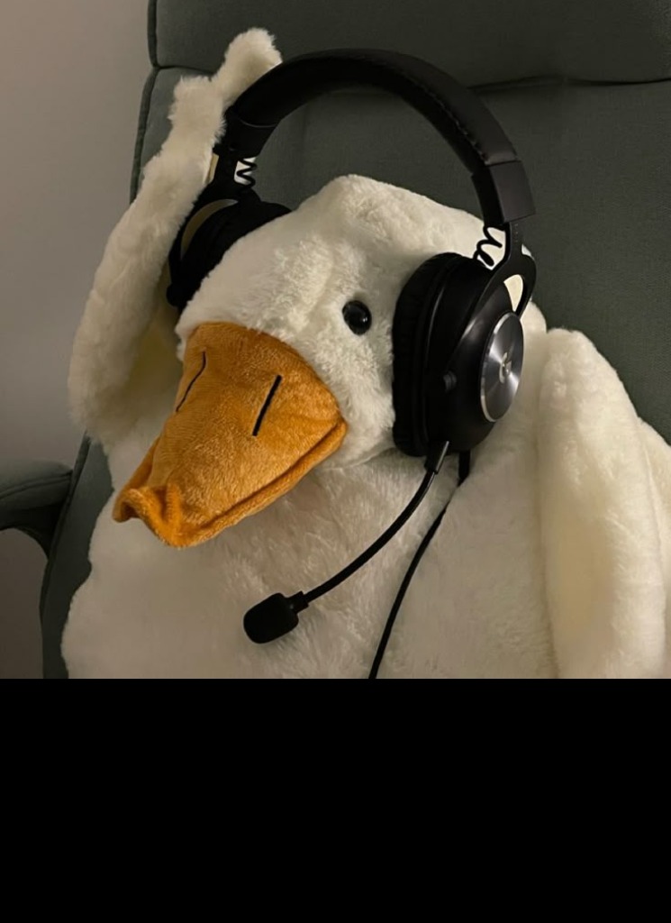 Guest_Duck945244