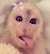 Saniyah332739