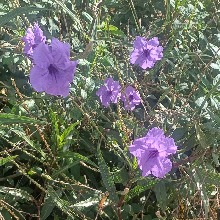 Guest_Catalinalatina12