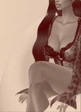 Guest_mia226703