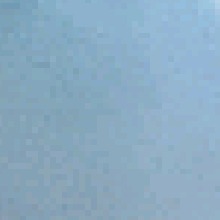 Guest_Shaira556415
