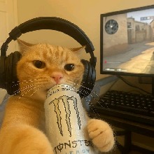 4kgay