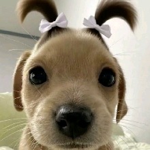 Guest_bubblegumpeachye6f9b