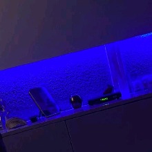 Guest_Lowprofile1