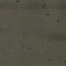 Guest_PBecky