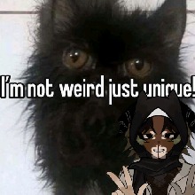 Guest_almonerdarkgolde12d4