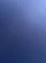 Guest_Reba24
