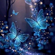Guest_LoveBug954738