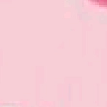 Guest_antoniaaa31