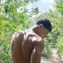avatar-billede