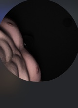Guest_narcicissts