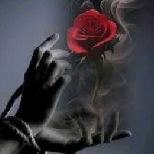 Guest_Leo17986