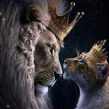 Guest_Leo17986