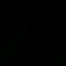 Guest_Nicol812321