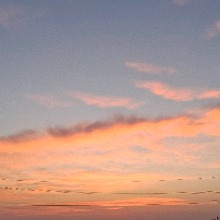 Guest_Tiaisthe1
