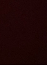 Guest_layla479299