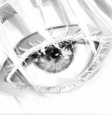 Guest_Ayzar1
