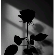 Guest_May188019