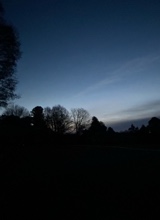 Guest_cutieyaleblue16ec