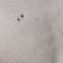 Guest_X663695
