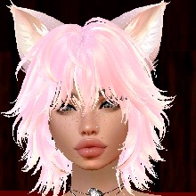 Guest_Sara277134