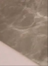 Guest_Leexi3
