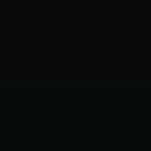 Guest_M985037