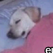 Guest_JuninJogaJogos