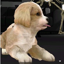 avatar picture