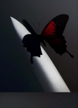 Guest_mrsghosting