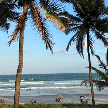 Guest_borges876930