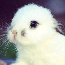 Guest_Dasha714684
