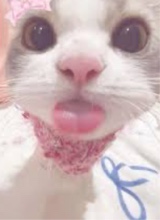 Guest_Jujuxpx