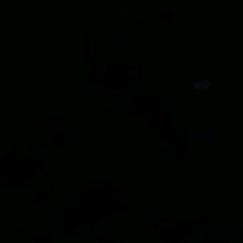 Guest_Ghostx571
