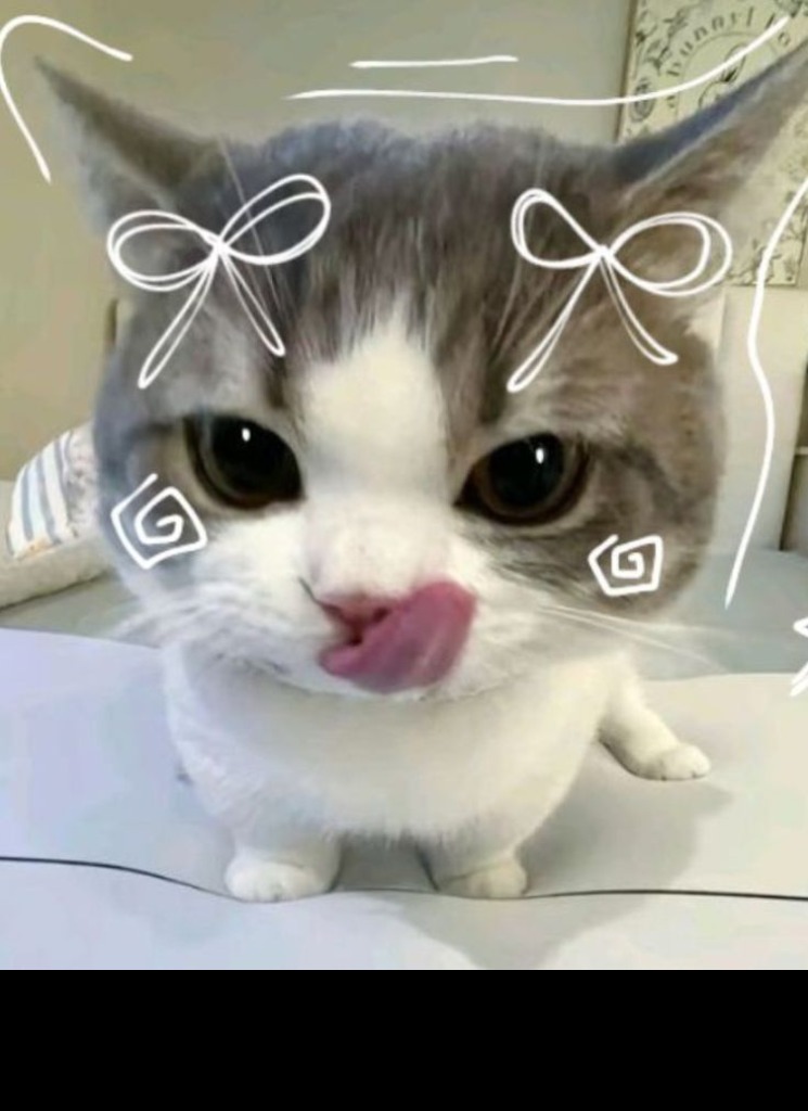 Guest_MITHIAKTER