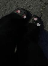Guest_nunathicc