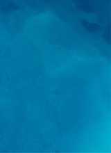 Guest_brunamarques5
