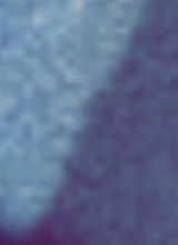 Guest_Tay882955