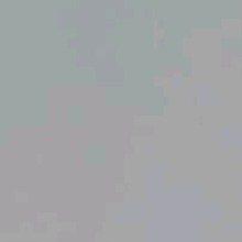 Guest_M4yaaa
