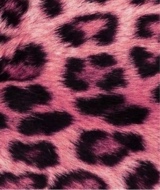 Guest_lolaaa887703